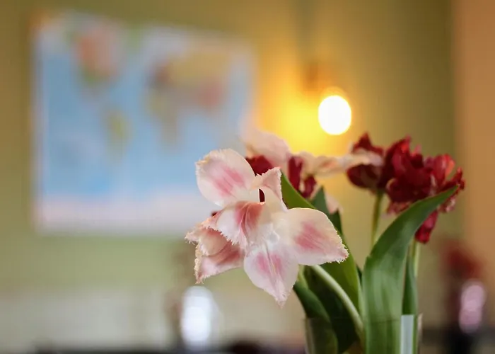 Bed&Breakfast De Grote Byvanck