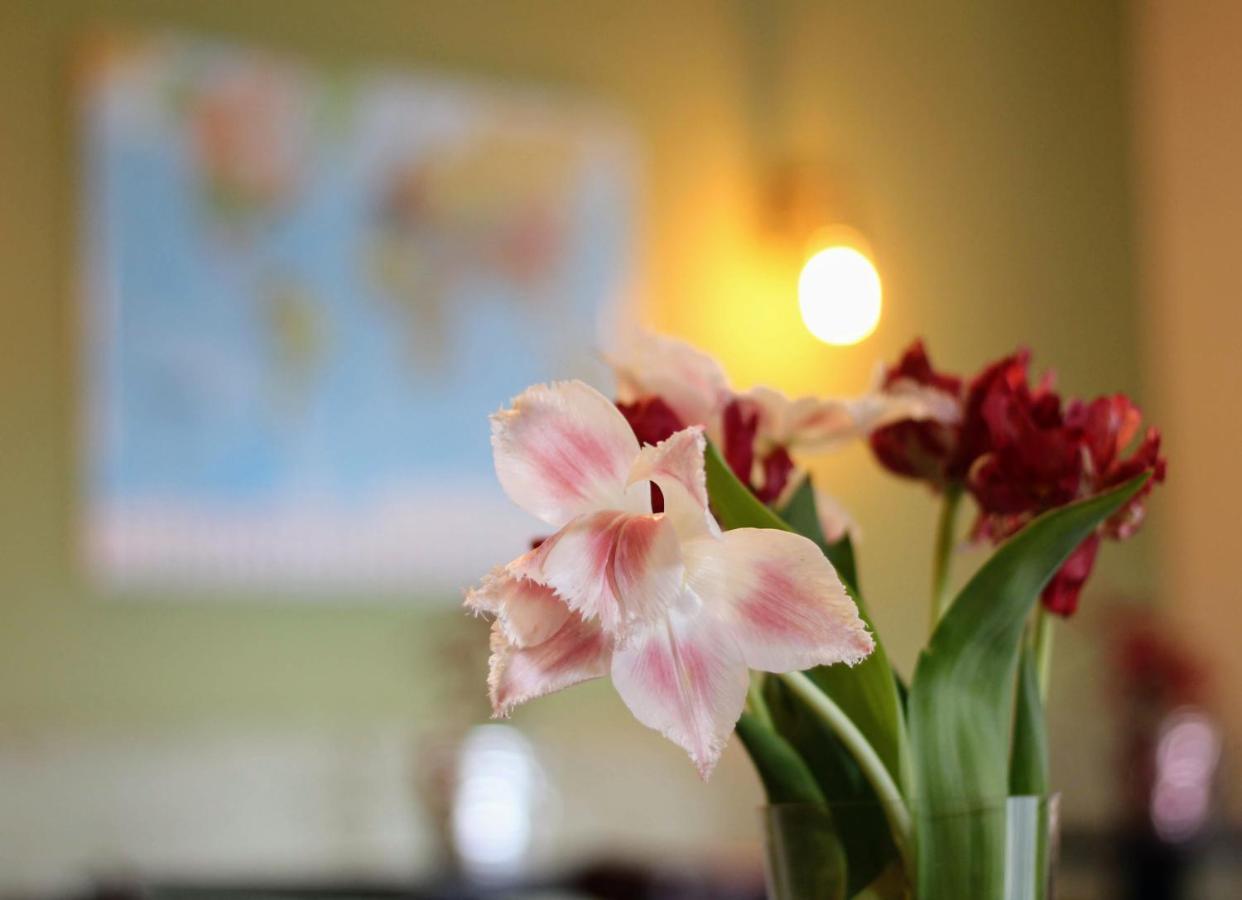 Bed & Breakfast De Grote Byvanck 3*